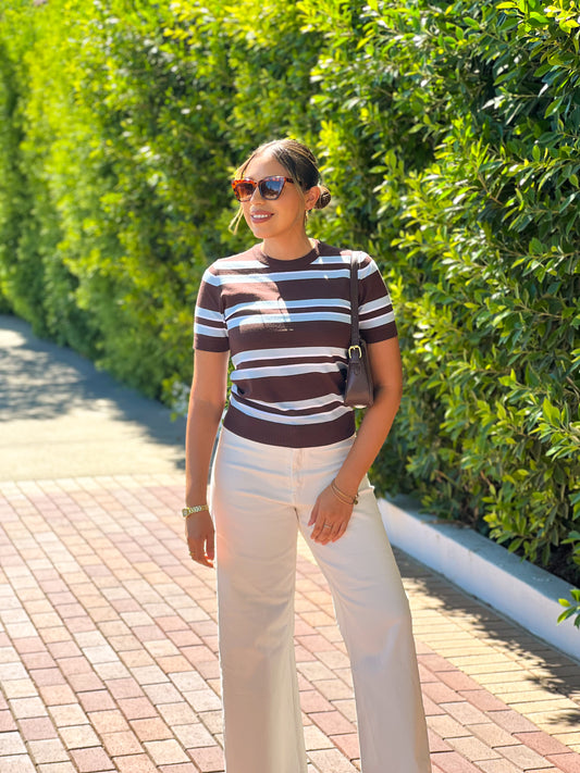 Blue Mocha Stripe Knit Top